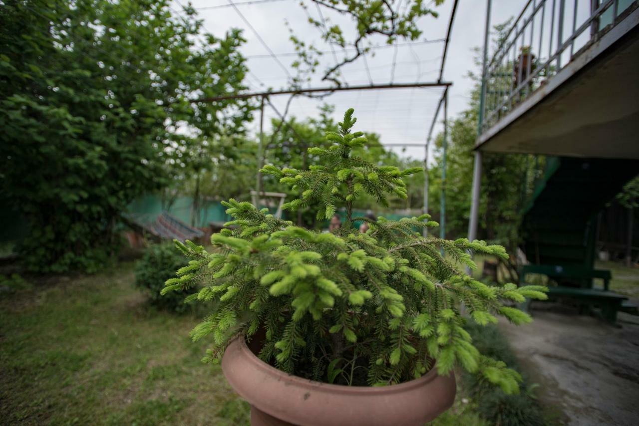 Zandukeli Inn Telavi Exterior photo